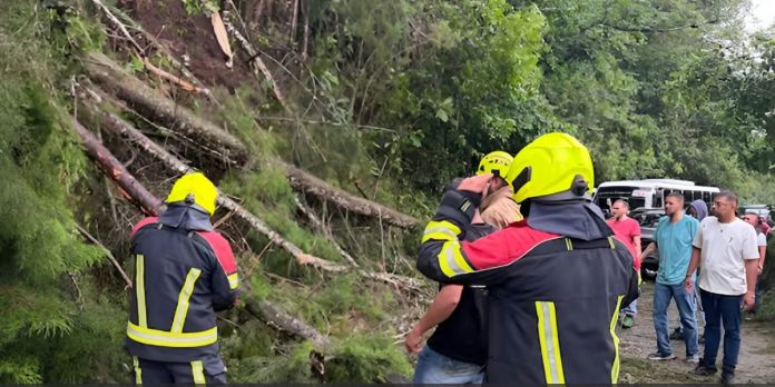 Fuerte vendaval impacta Salento con caída de árboles