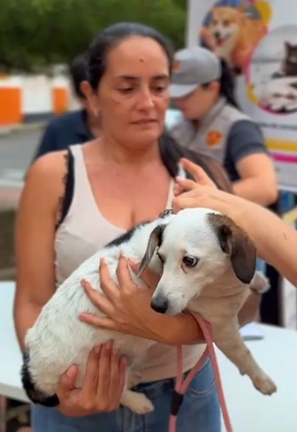 Cartago refuerza protección animal con jornada gratuita semanal