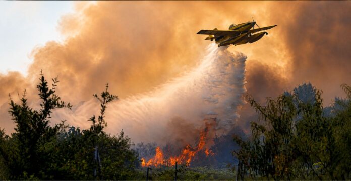 Incendios en España afectan amplias zonas de Madrid, Ávila y Toledo.