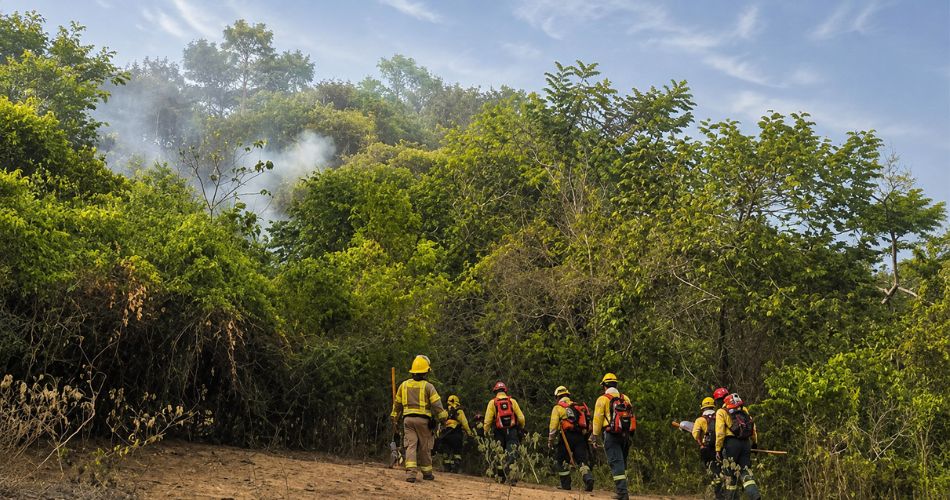 Brigadistas recorren una zona boscosa afectada por incendios forestales durante las labores de respuesta en Tolima