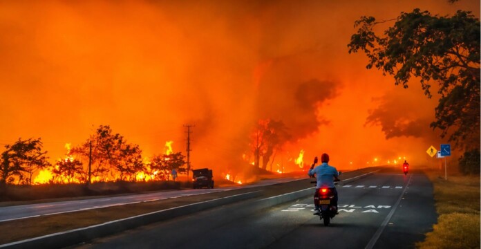 Tolima suma incendios forestales que consumen vegetación y mantienen desplegados equipos para controlar las llamas