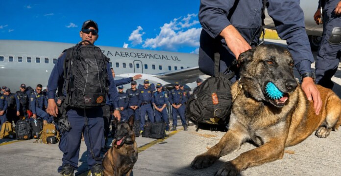 Dastan y Gasper, perros rescatistas enviados a Cali para buscar sobrevivientes