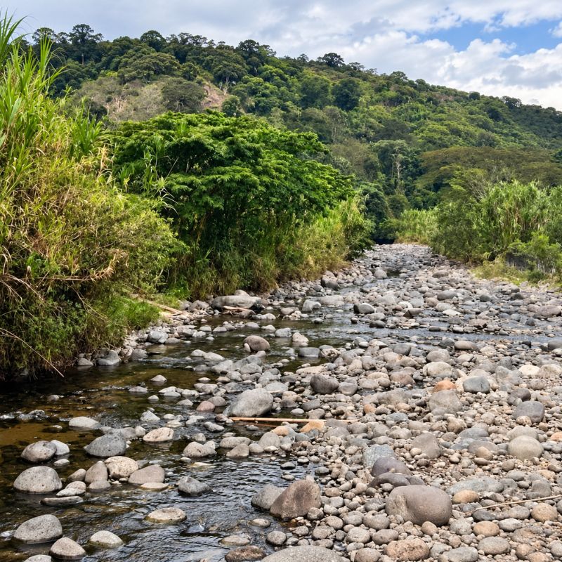 El Quindío tiene cuatro municipios con racionamiento de agua por la reducción del caudal.