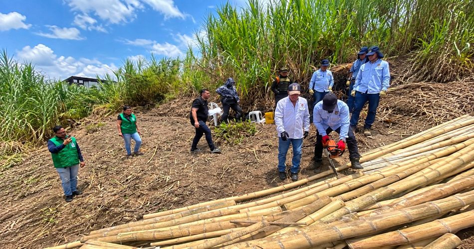 Operativos en Pereira incluyen intervenciones de Control Físico para la recuperación de predios