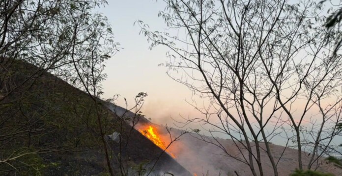 Incendio forestal en Guabinas