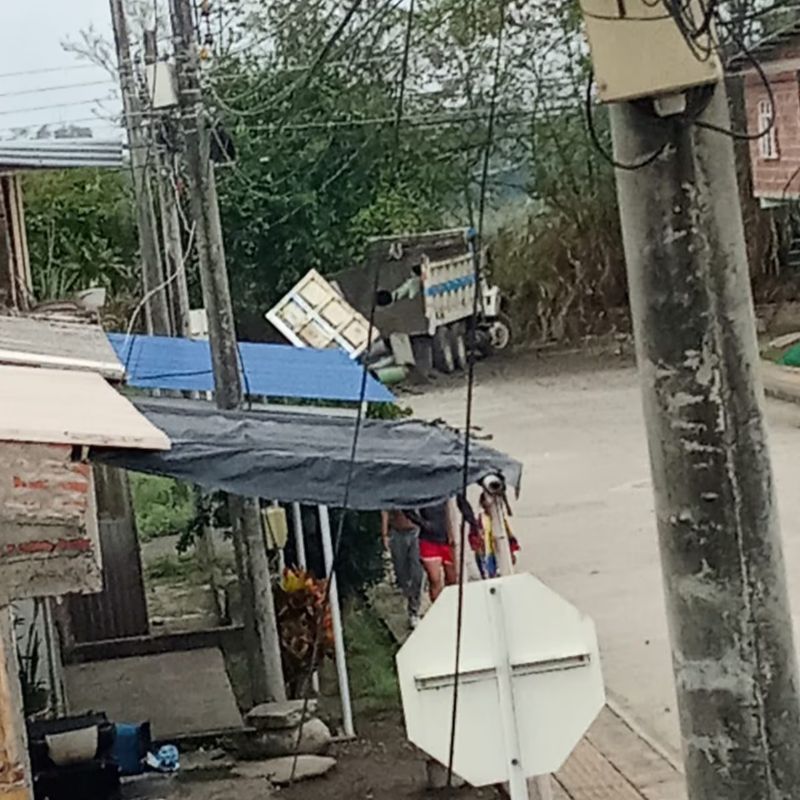 Volqueta con la carrocería deteriorada, ubicada en una zona rodeada de árboles en Miranda, Cauca.