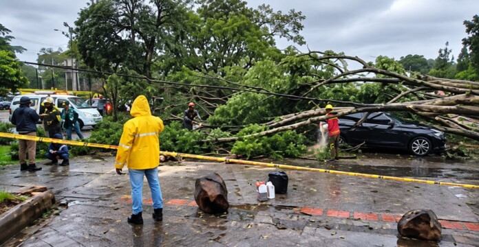 Jugador del América de Cali involucrado en un accidente por la caída de un árbol sobre su automóvil.